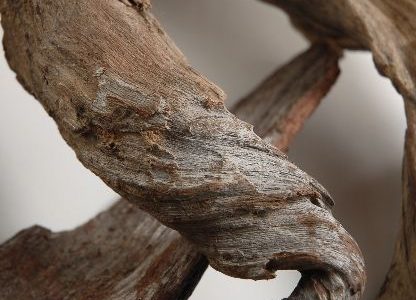 Wooden By ASV